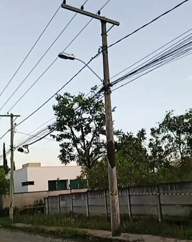 ENXAME DE ABELHAS ASSUSTA MORADORES