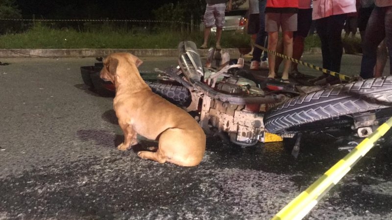 BATIDA DE MOTO COM CACHORRO